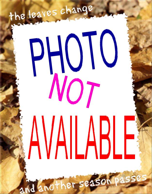 photo not available